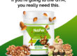 best protein powder for athletes